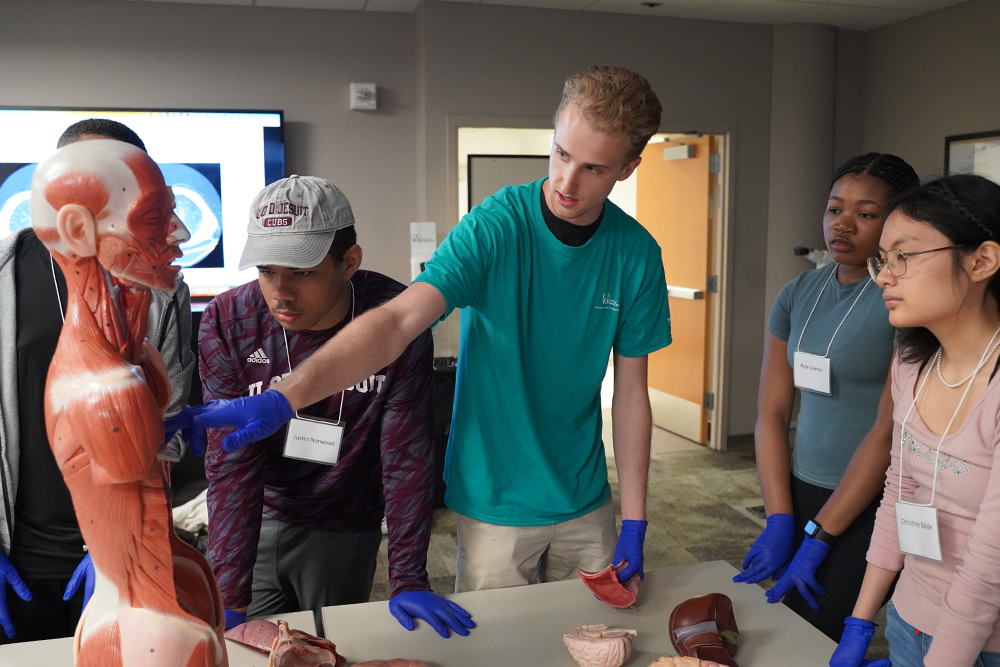 Online Summer Enrichment Program promotes awareness of OUWB, careers in